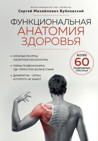 . Функциональная анатомия здоровья