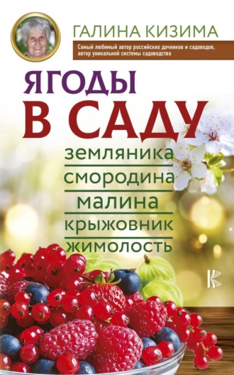 Галина Александрова. Ягоды в саду. Земляника, смородина, малина, крыжовник, жимолость