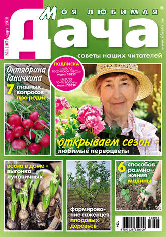 . Моя любимая дача №3/2018