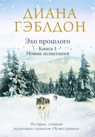 . Эхо прошлого. Книга 1. Новые испытания