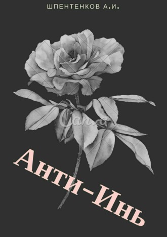 . Анти-Инь