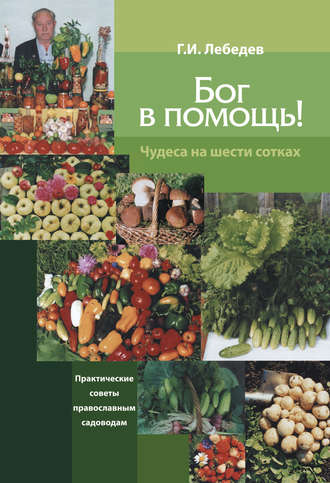 . Бог в помощь. Чудеса на шести сотках