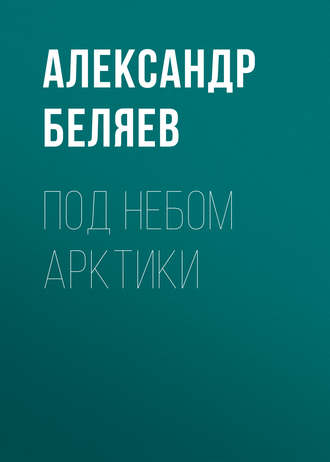 . Под небом Арктики