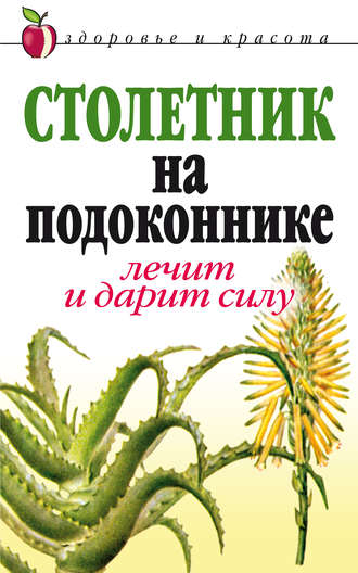 . Столетник на подоконнике. Лечит и дарит силу