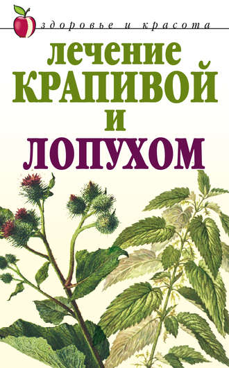 . Лечение крапивой и лопухом