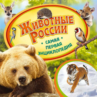 Анна Шахова. Животные России