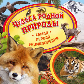 Ирина Травина. Чудеса родной природы