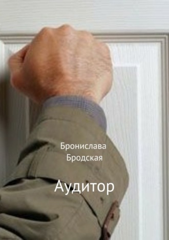 . Аудитор