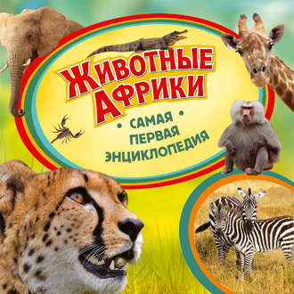 Ирина Травина. Животные Африки
