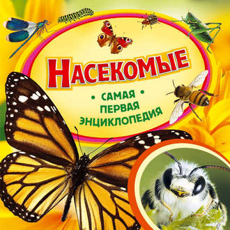 Ирина Травина. Насекомые