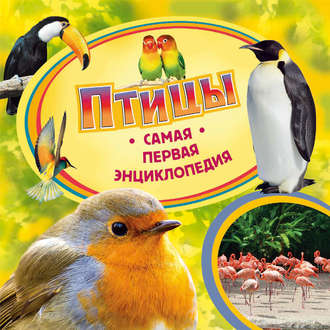 Ирина Травина. Птицы