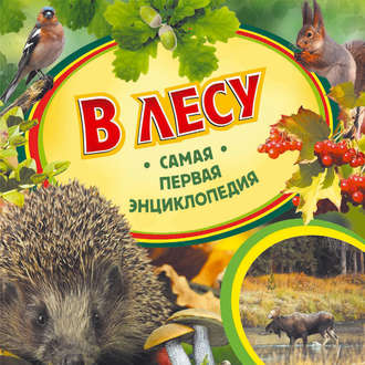 Ирина Травина. В лесу