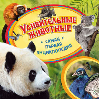 . Удивительные животные