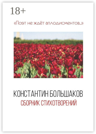 . Поэт не ждёт аплодисментов… Сборник стихотворений