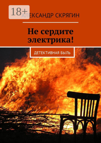 . Не сердите электрика! Детективная быль