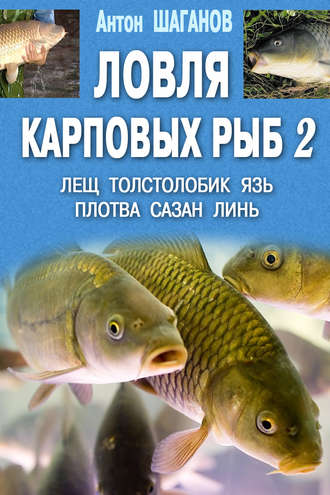. Ловля карповых рыб – 2