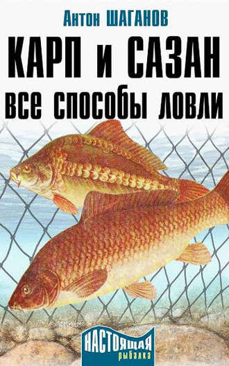 . Карп и сазан. Все способы ловли