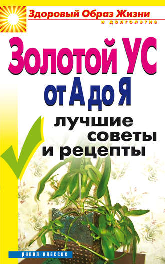 . Золотой ус от А до Я. Лучшие советы и рецепты