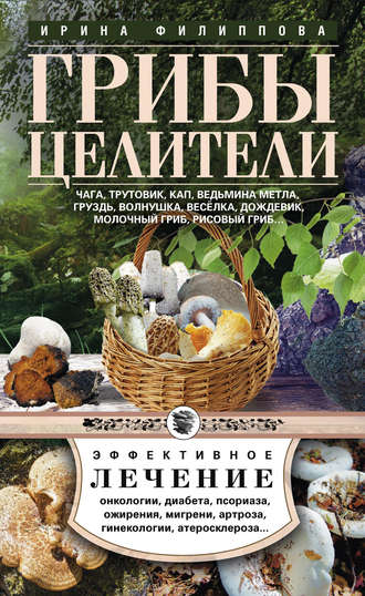 . Грибы-целители. Чага, трутовик, кап, ведьмина метла, груздь, волнушка, веселка, дождевик, молочный гриб, рисовый гриб…