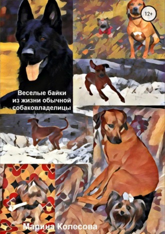 . Веселые байки из жизни обычной собаковладелицы
