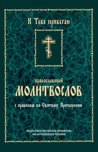 . К тебе прибегаю. Православный молитвослов с правилом ко Святому Причащению