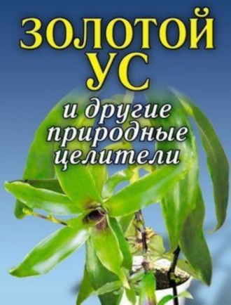 . Золотой ус и другие природные целители
