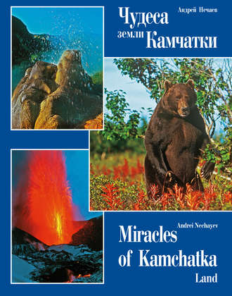 . Чудеса земли Камчатки / Miracles of Kamchatka Land