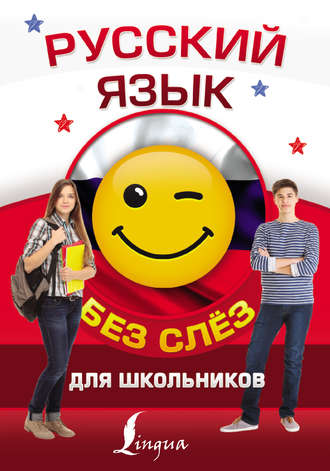 . Русский язык для школьников без слёз
