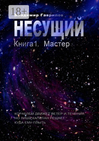 . Несущий. Книга 1. Мастер