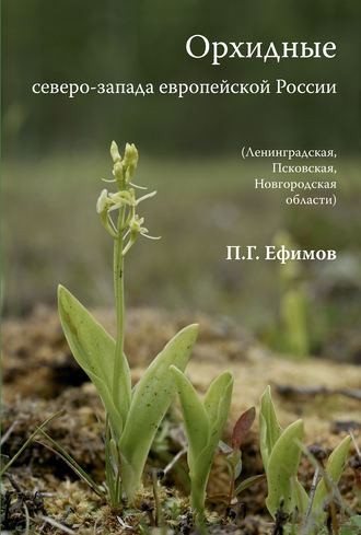 . Орхидные северо-запада европейской России
