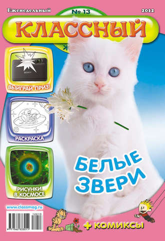 . Классный журнал №13/2012