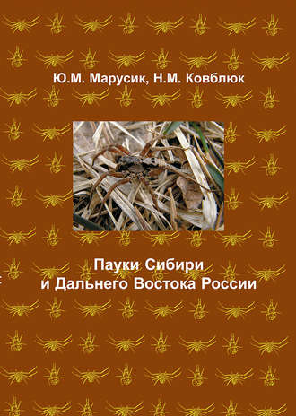 . Пауки Сибири и Дальнего Востока России