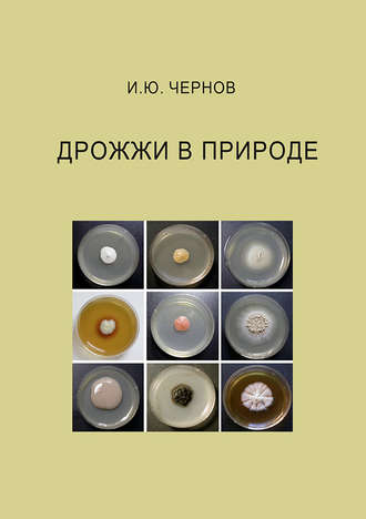 . Дрожжи в природе