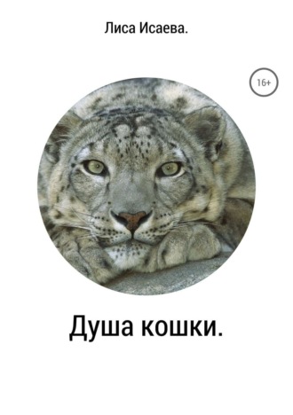 . Душа кошки