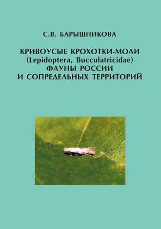 . Кривоусые крохотки-моли (Lepidoptera, Bucculatricidae) фауны России и сопредельных территорий