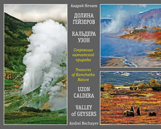 . Сокровища камчатской природы. Долина Гейзеров. Кальдера Узон / Treasures of Kamchatka Nature. Valley of Geysers. Uzon Caldera