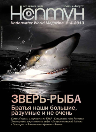 . Нептун №4/2013