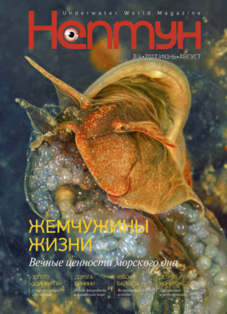 . Нептун №3-4/2017