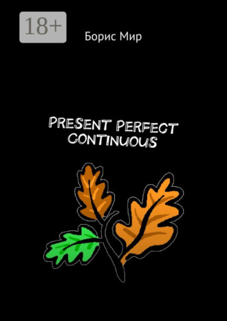 Борис Мир. Present Perfect Continuous