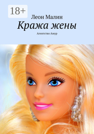. Кража жены. Агентство Амур
