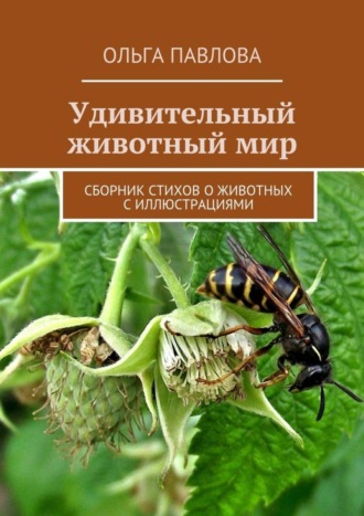 . Удивительный животный мир. Сборник стихов о животных с иллюстрациями