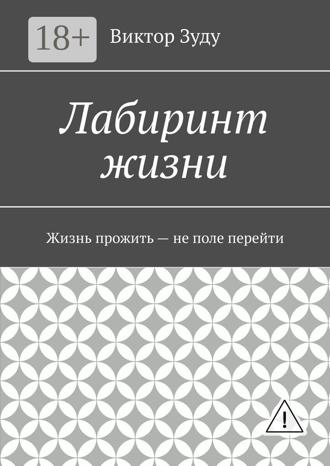 Виктор Зуду. Лабиринт жизни