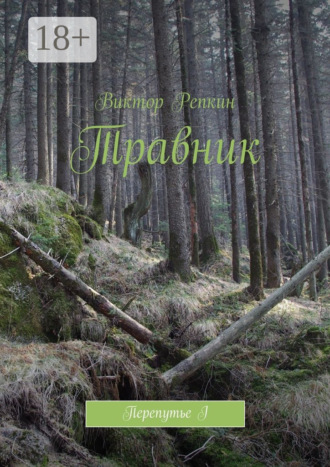 Виктор Николаевич Репкин. Травник. Перепутье I