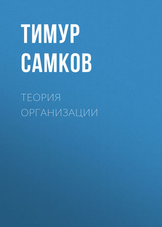 . Теория организации