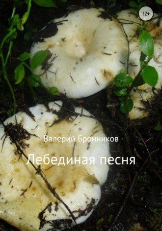 Валерий Бронников. Лебединая песня