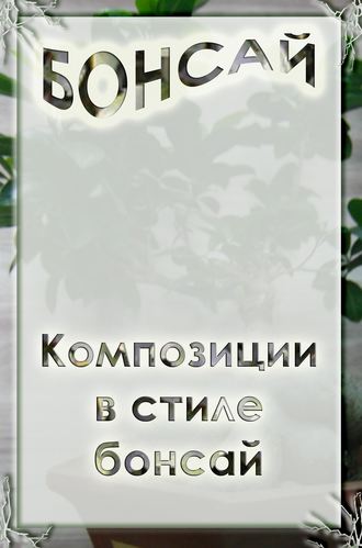 И. В. Мельников. Композиции в стиле бонсай
