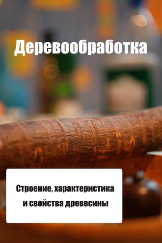 И. В. Мельников. Строение, характеристика и свойства древесины