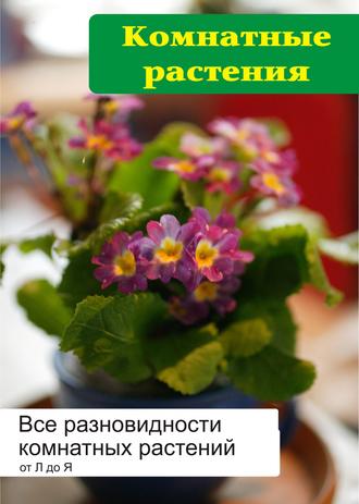 . Все разновидности комнатных растений (от Л до Я)