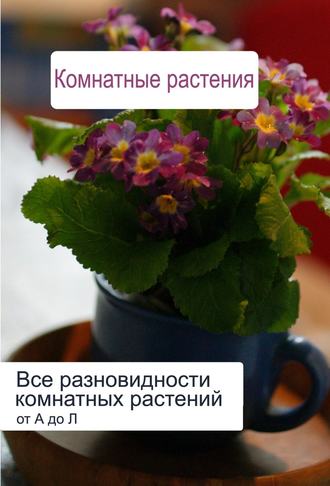 . Все разновидности комнатных растений (от А до Л)