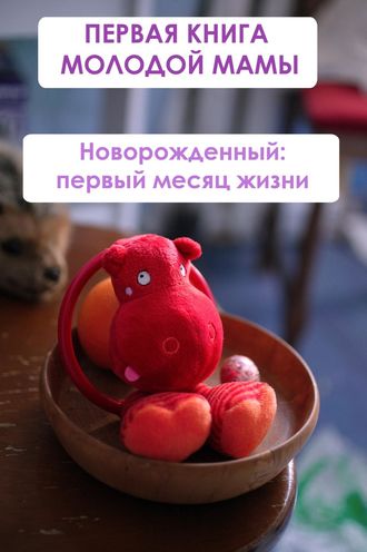 И. В. Мельников. Новорождённый: первый месяц жизни